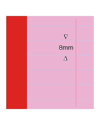 SEN exercise book red cover pink paper