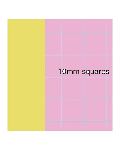 SEN exercise book yellow cover pink paper