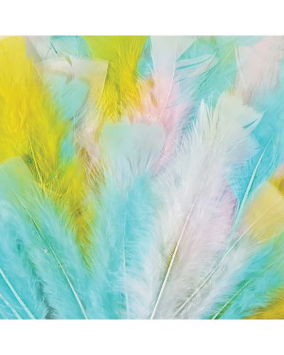 DELETED Spring coloured feathers
