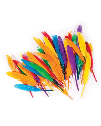 Quill feathers