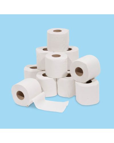 Recycled convential toilet rolls