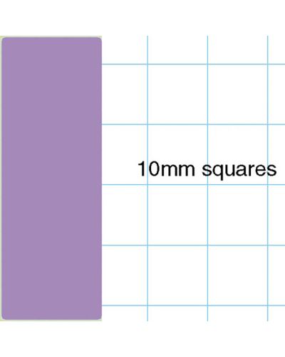 A4+ exercise book purple 10mm squares