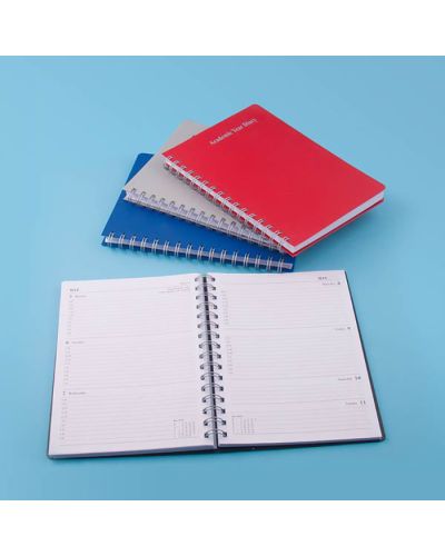 18 month education year diary