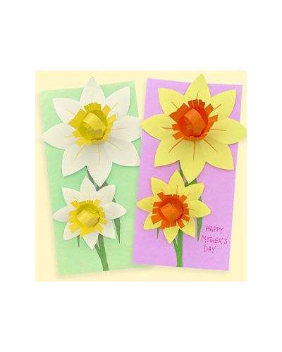 Daffodil cards