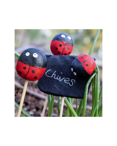 Handmade plant markers decorated with clay ladybirds 