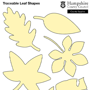Leaf shapes