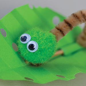 Hungry caterpillar craft